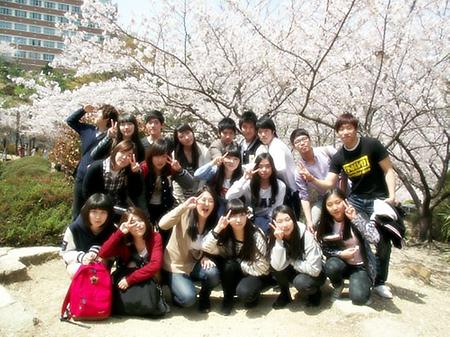 2011 경찰행정학과 벚꽃축제